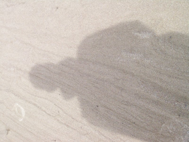 Spike saw his shadow!