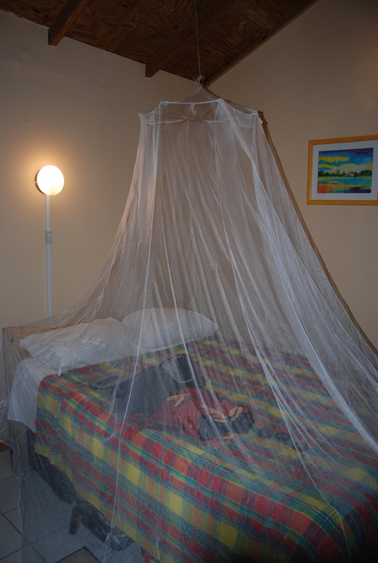 Mosquito netting around the bed.  Had us worried but after the first night we never used it again.  No bugs in the room to worry about.