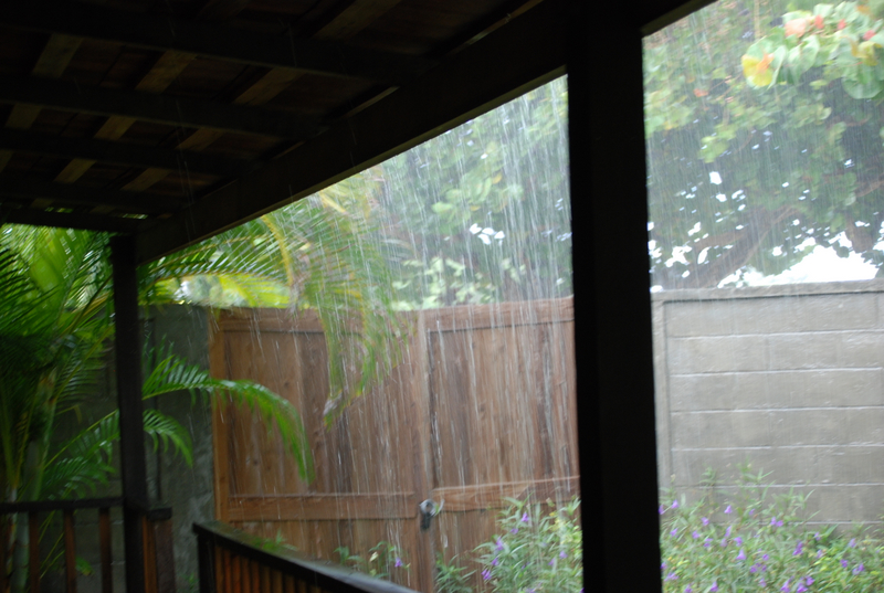 Tropical downpour one morning.  This was the view from the front porch of our cottage.  30 minutes later the wind was up blowing a steady 20 mph.