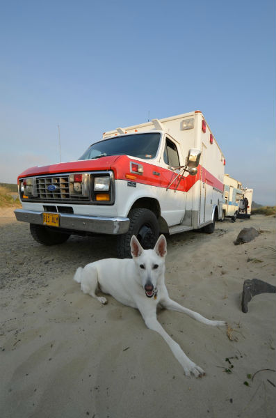 The ambo found waves yesterday...