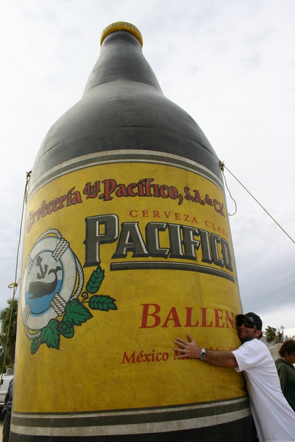 Dave likes his BALLENA.