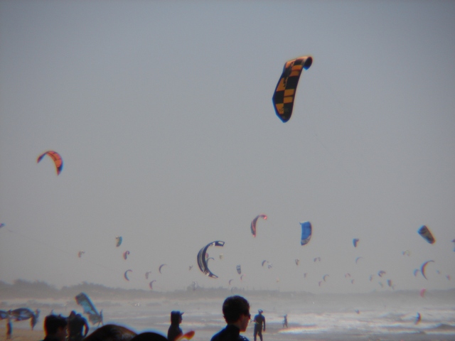 Kites down the line.... TONS