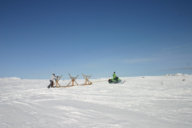Sled work