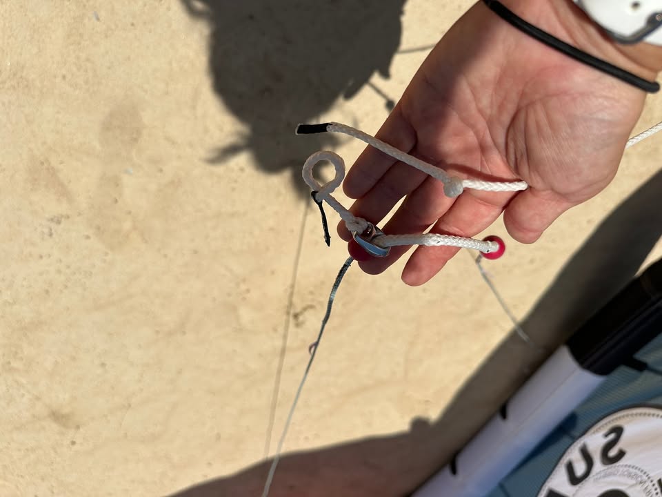 2024 Reedin SuperModel HTF2 6M - pigtails