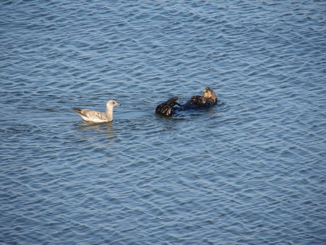 Doesn't matter where you go, someone is always looking for a handout...