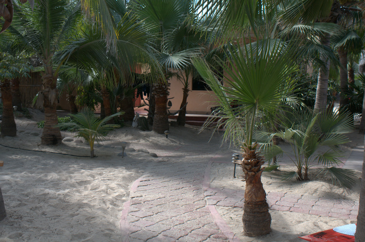 Walkway amongst the beach units at Joes.