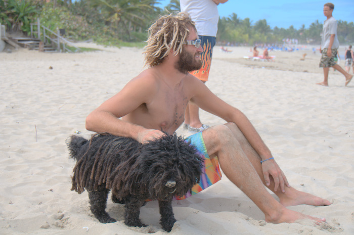 Rasta Dogs on the beach!