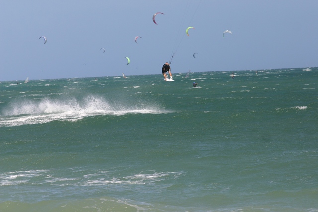 Tekko supports the dark side on swell days.