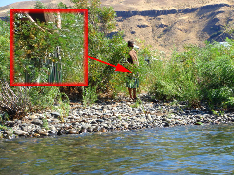 Labor Day Weekend @ Rufus...