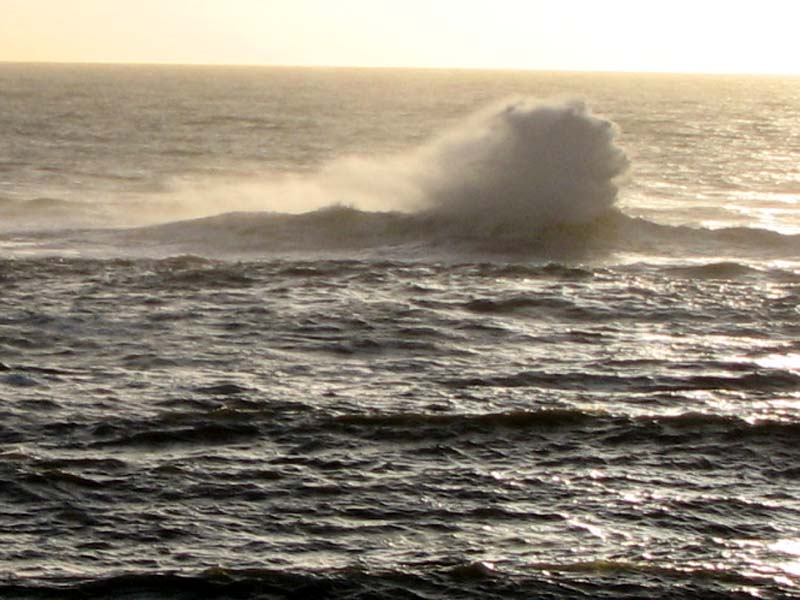 This about sums up the day