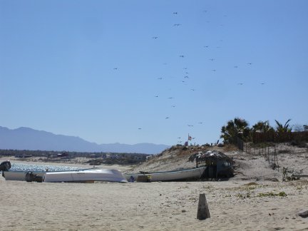 The birds notified us early which way the wind was coming.