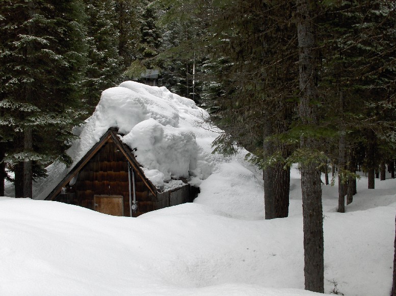 Diamond Lake Cabin