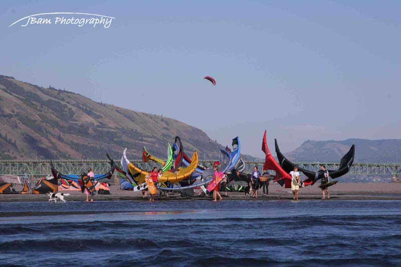 Chicks with kites...