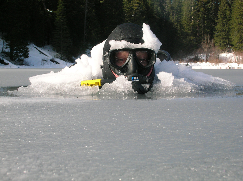 Clear lake , west of Eugene OR