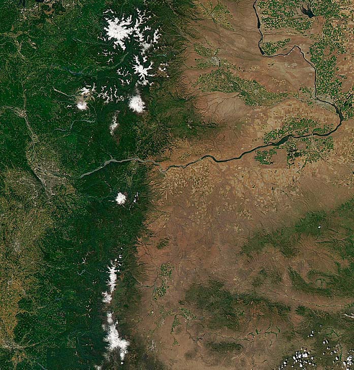 image and first satellite image were taken on 7/6/11.  I cropped them from a large photo covering most of Oregon and Southern Washington:
<br />http://rapidfire.sci.gsfc.nasa.gov/imagery/subsets/?subset=AERONET_HJAndrews.2011187