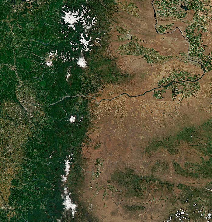 image and first satellite image were taken on 7/6/11. I cropped them from a large photo covering most of Oregon and Southern Washington:
<br />http://rapidfire.sci.gsfc.nasa.gov/imagery/subsets/?subset=AERONET_HJAndrews.2011187
