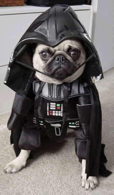 darth