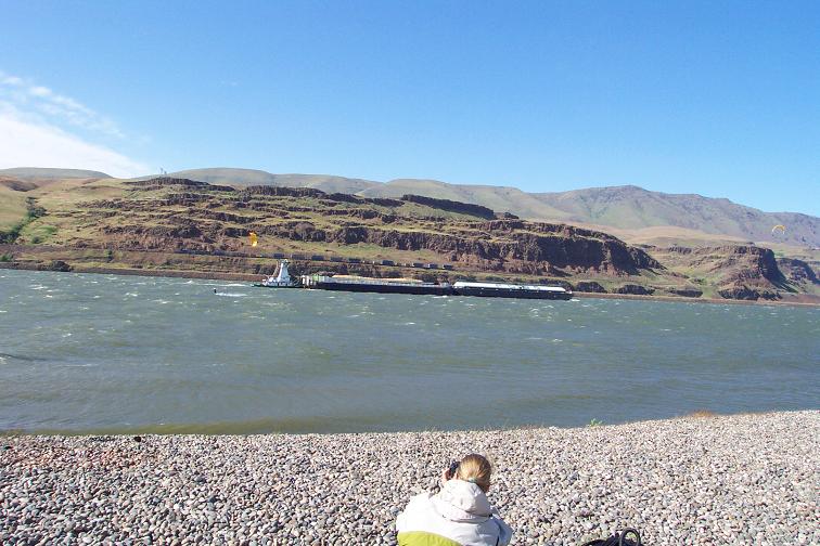 Kodiak checking the barge.