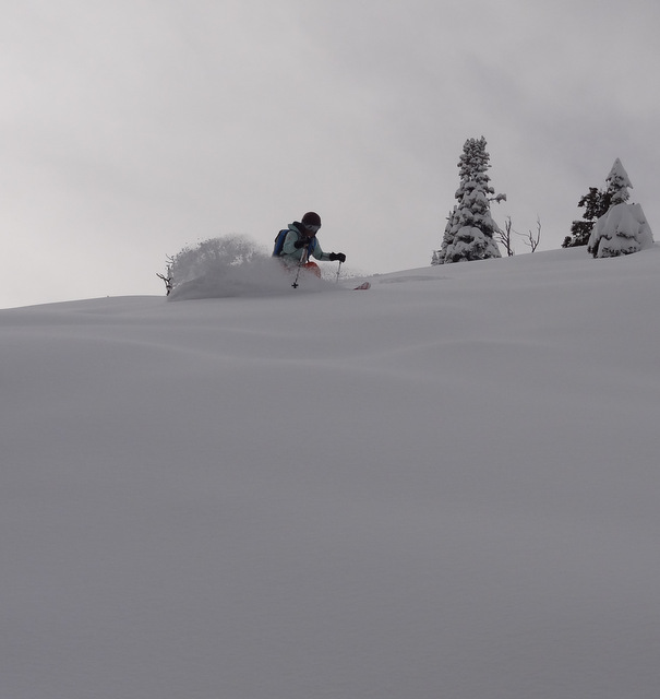 Monica on Teton Pass