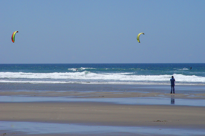 Manzanita blue. A.U. Photo