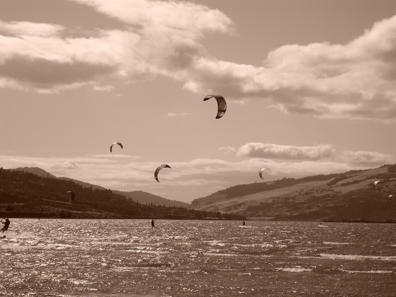 Lots of kites