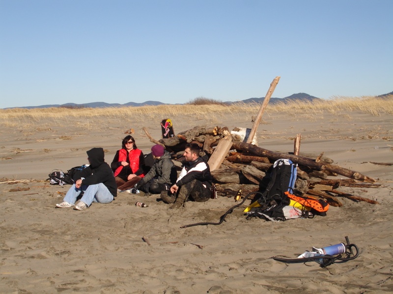 The Fort, sweet wind breaker Forest Built...