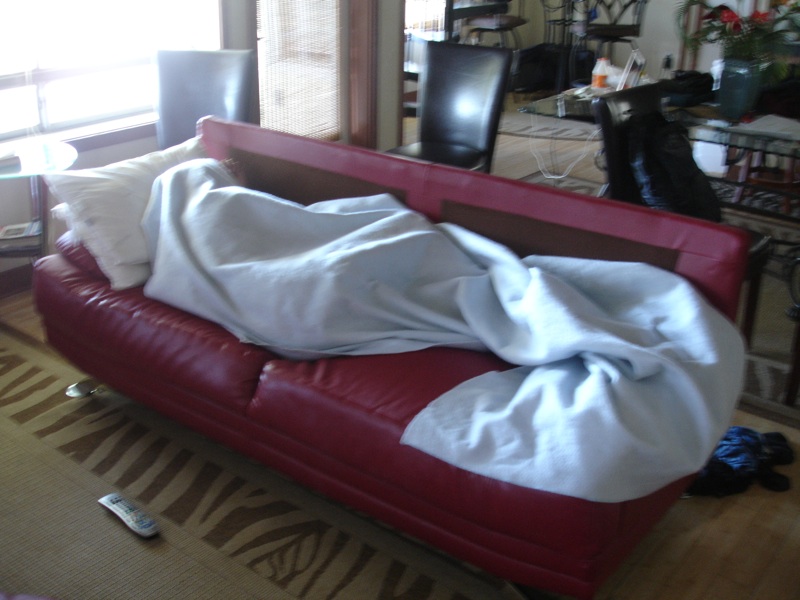 Hey Tucker, wake up...It's time to kite...!!!