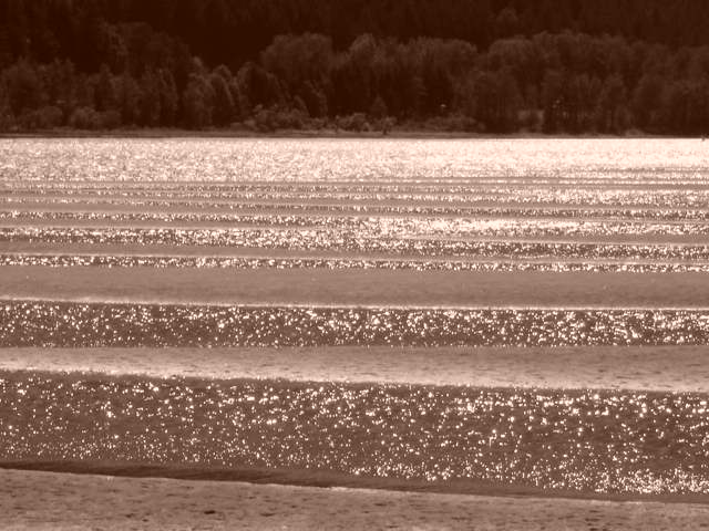 Shallows
