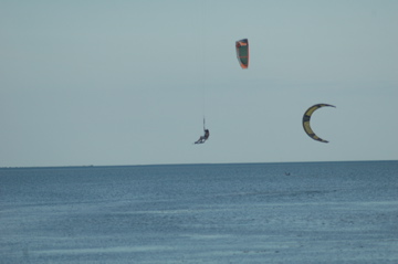 more padre