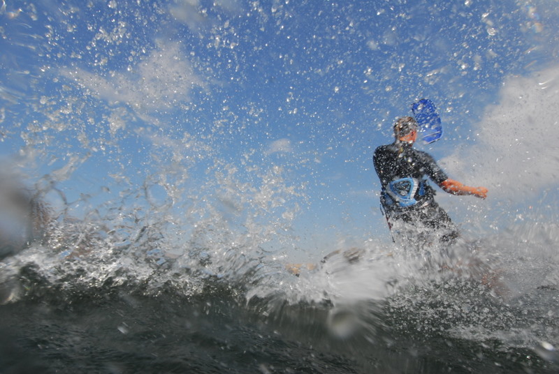 Tonia splash by Rico