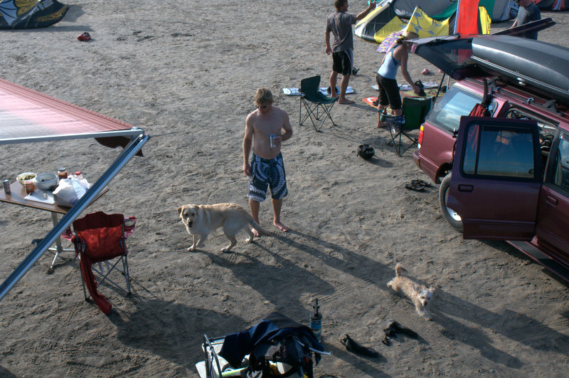 The dogs were in heaven. Lots of room to run and people to see.