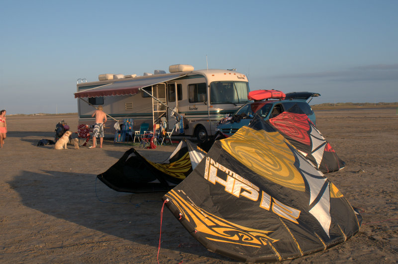 The new Nemi's drying off while the dogs wait for some guacamole.