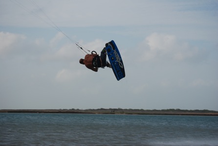 shameless new board plug