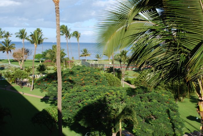 Tough walk to the launch beach past the tennis courts and swimming pool.