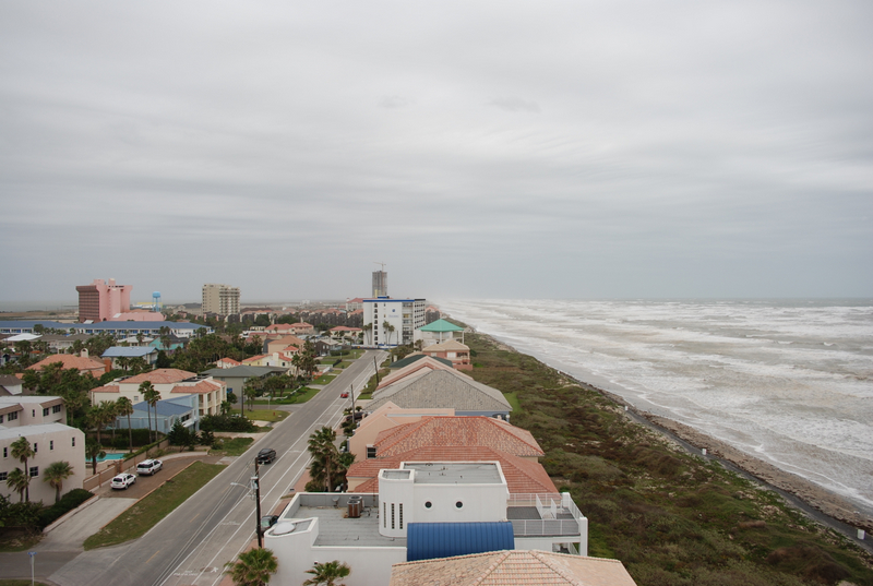 Good Morning 2008!  Surfs up, the palm tress are bending over, and the patio doors hum and shake from the winds blasting them. Think I need new doors but they are great wind alerts!