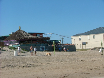 the wanna-wanna bar on the beach and the Island Inn, this is the place with the leopard sheets, yeah!