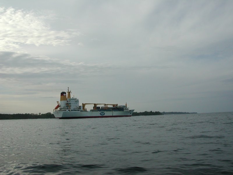 like sauvies! but more bugs. less floaters. less viet schlong.