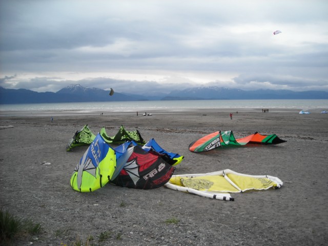 Kitefest!  That TD2 17m does not fly in 8 mph.