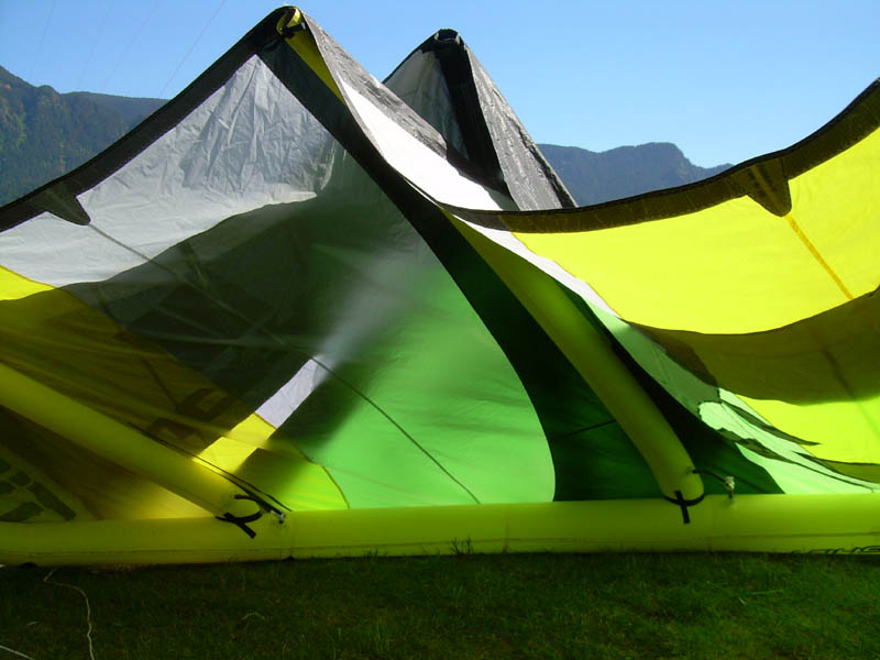 Late afternoon kite sex; what sort of hybrid offspring will Waroos and Turbo II's produce? A Sling-Poo perhaps?