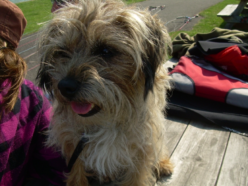 She wanted my sandwich