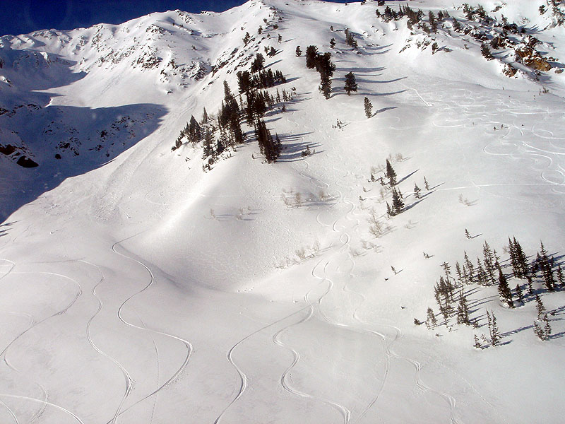 our tracks...We own you mountain!