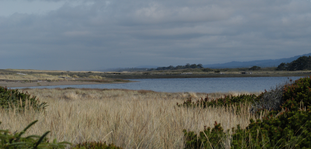 Floras Lake - Photo Andy Bolt