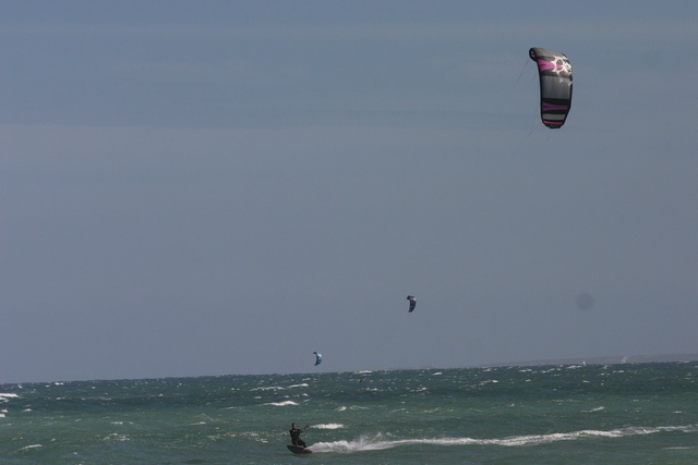 SS kites. Lined up...