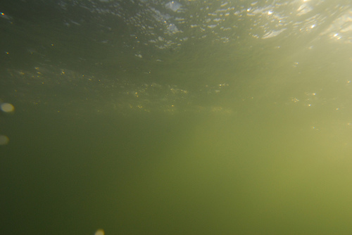 Anyone else drink/inhale this shit?