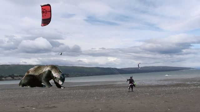 Everything is bigger in Alaska, even the Honey Badgers.