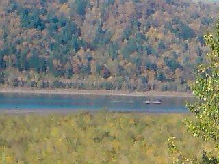 Rooster Yesterday missed the AM session