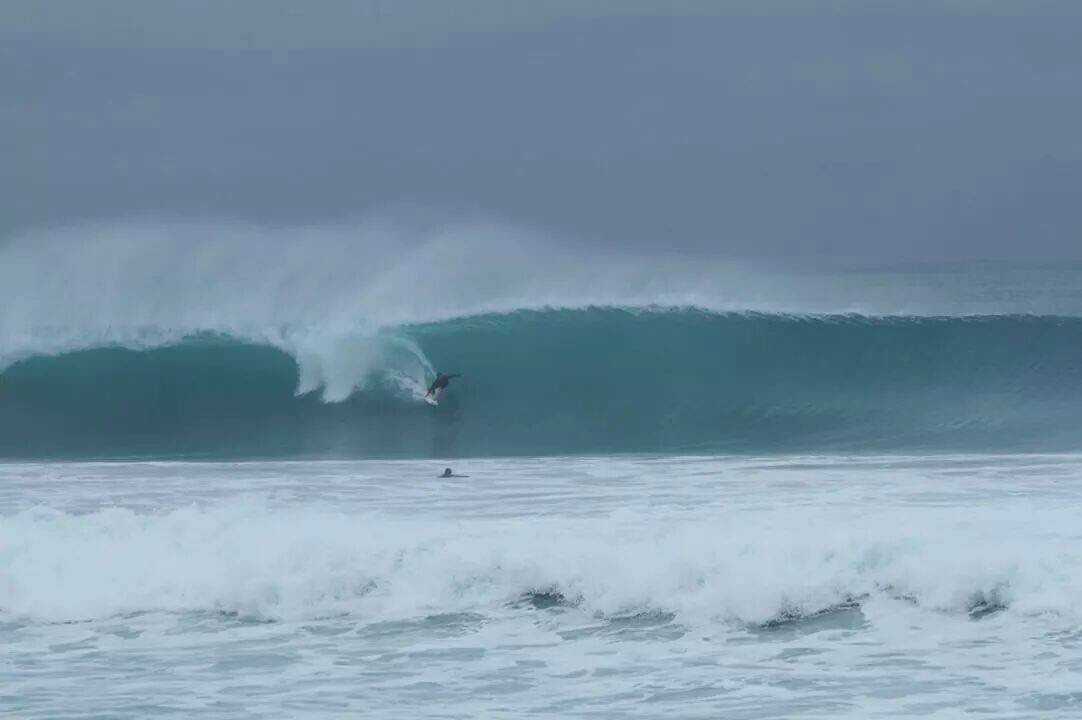 Should of been here Tuesday - Palm Beach