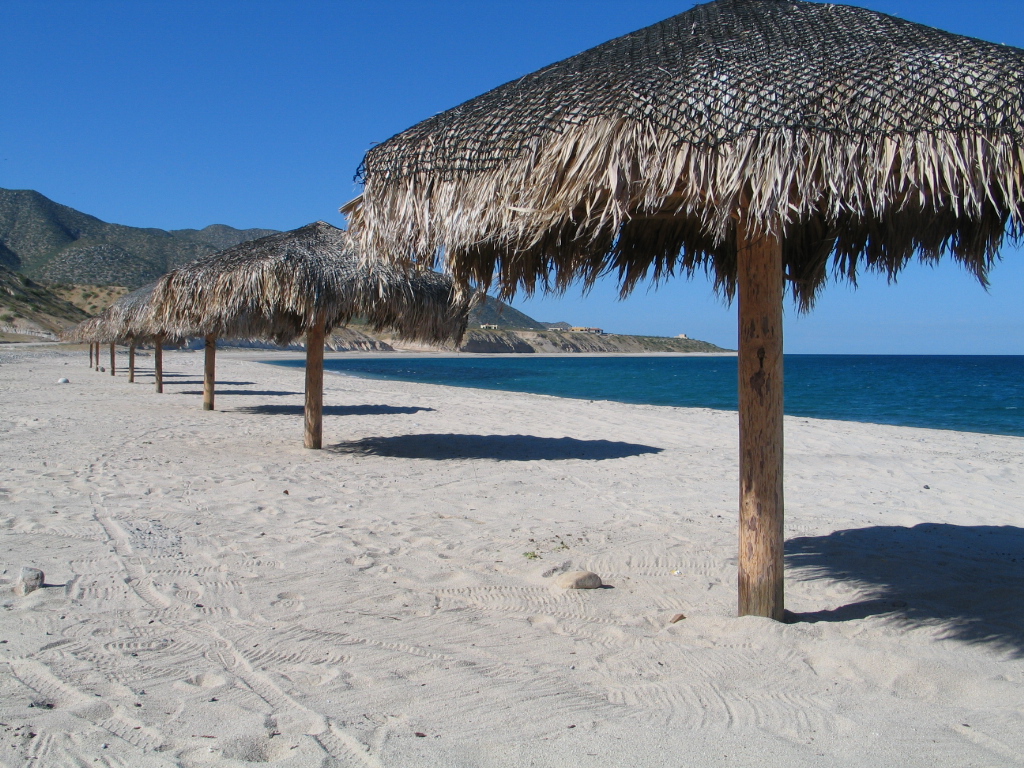 Hot Springs are looking good!