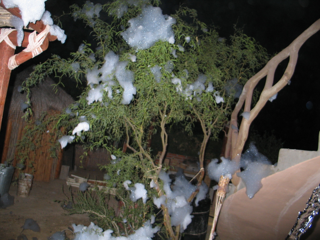 Fresh powder in La Ventana!