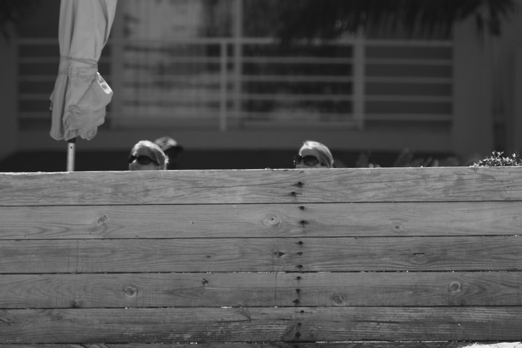 Bikini girls on the lookout for KB4K donations